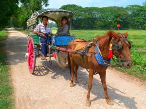 Myanmar photos - Travelling by horse and cart