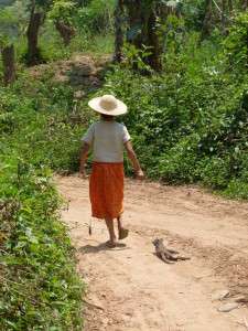 Myanmar photos - Walking the cat!