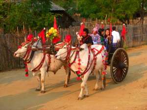 Myanmar Photos - Festival in Bagan