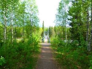 Bicycle Touring in Lapland