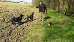Tim walking three dogs in a field in the UK