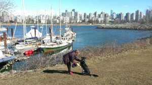 Woman with a German shepherd in Vancouver
