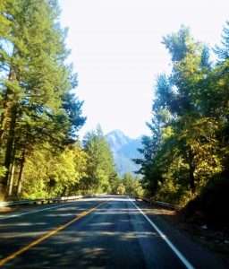 View from a car in the Columbia River Valley