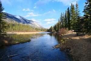 Rockies Road Trip