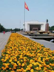 Flowers and the Kyrgz Flag