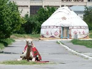 Camel and Yurt - Turkistan Kazakhstan