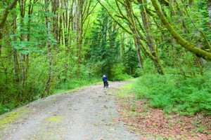 cycing the Cascade Trail in Washington State