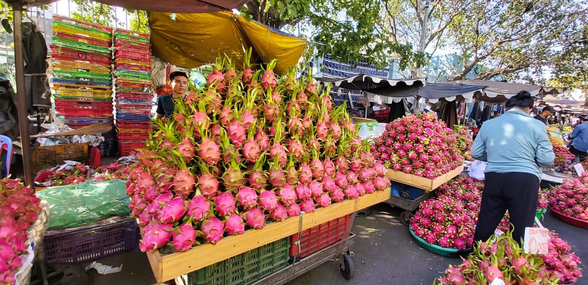 Dragon fruit stall on Le Quang sung street