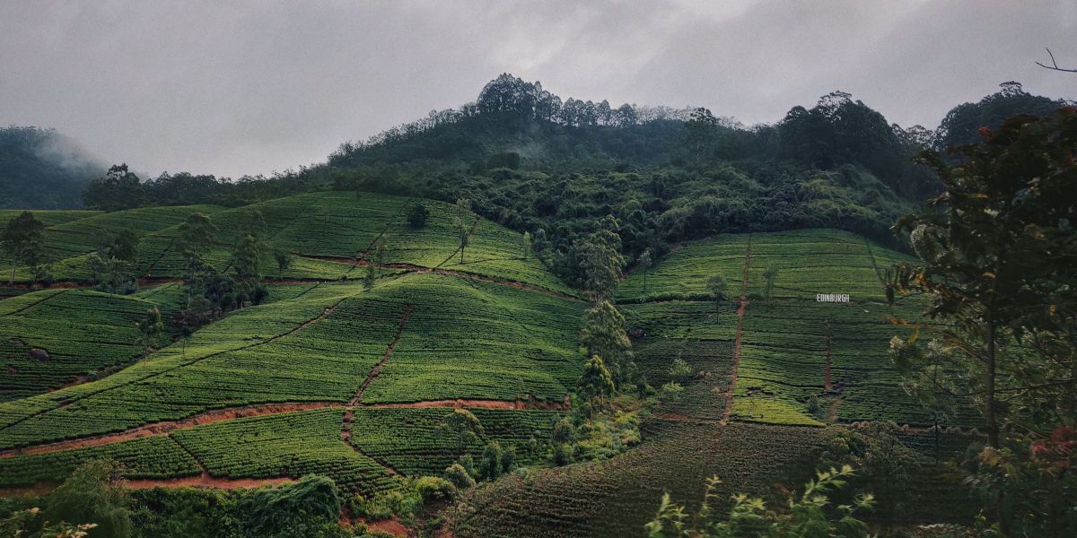 Sri Lanka